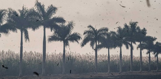 © Koral Carballo – Portada