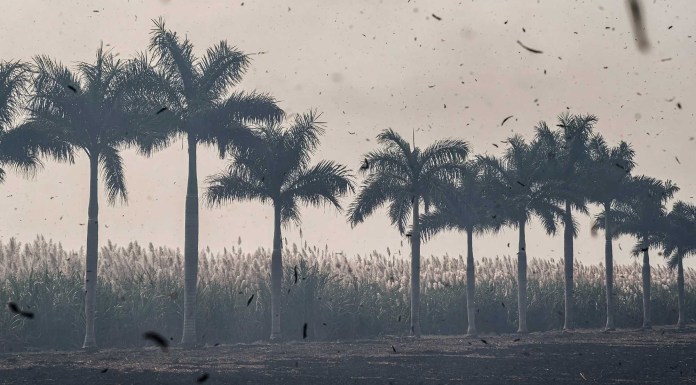 © Koral Carballo – Portada