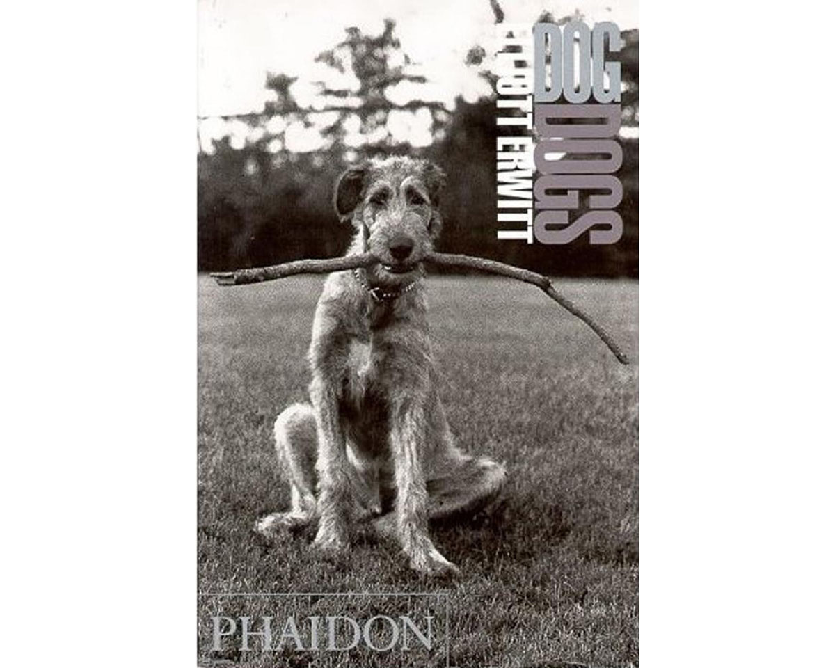 DogDogs Elliot Erwitt