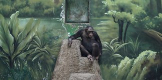 Shanghai Wild Animal Park, Shanghai, China