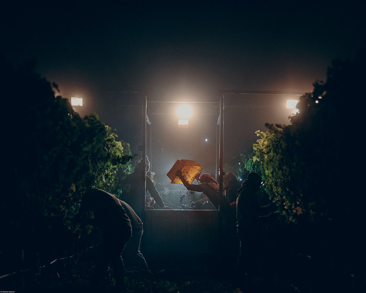 © Heather Daenitz
