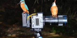 Laowa_100mm_Nicolas_Reusens_portada