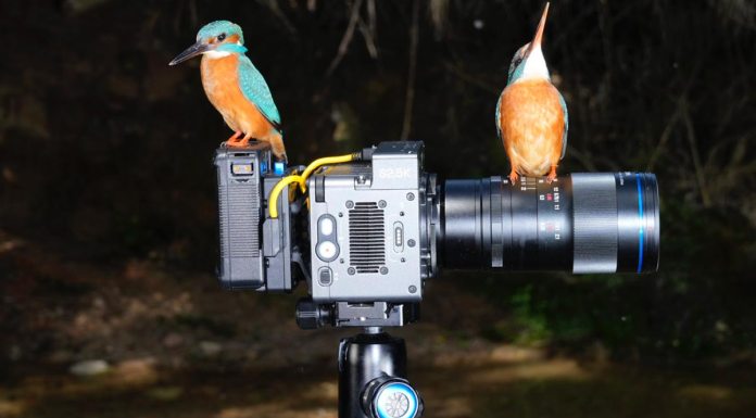 Laowa_100mm_Nicolas_Reusens_portada