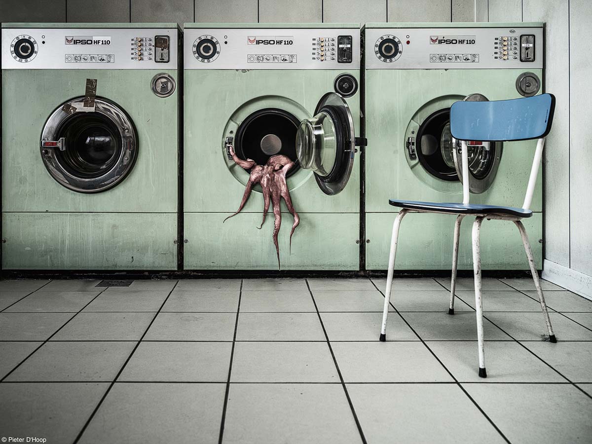 © Pieter D’Hoop