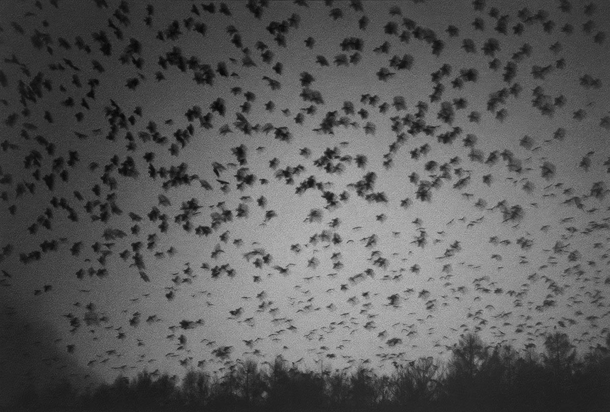 Revelat_2025_expos_03