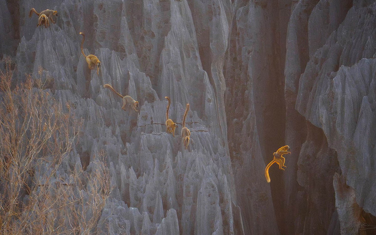 © Donglin Zhou