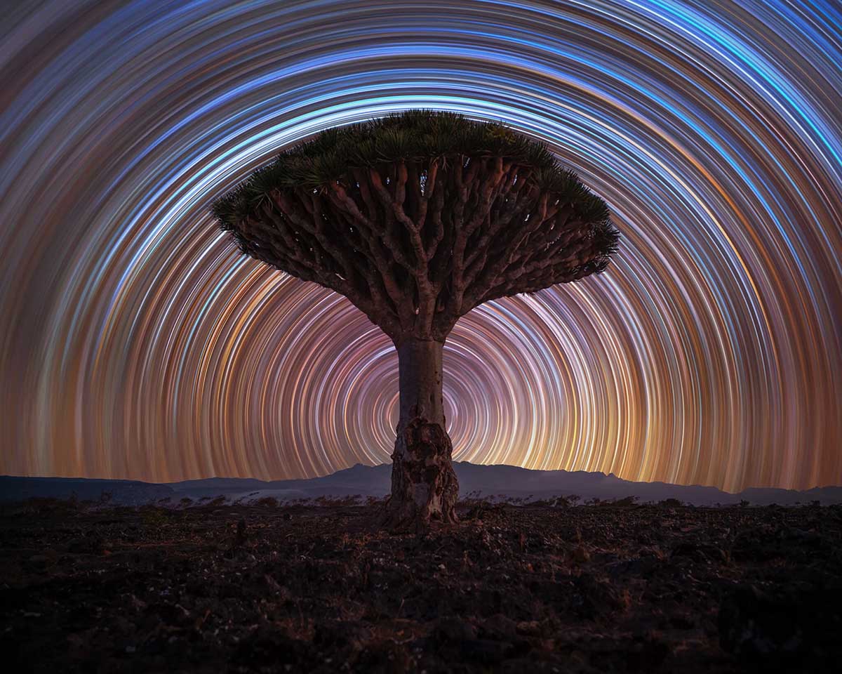 © Benjamin Barakat