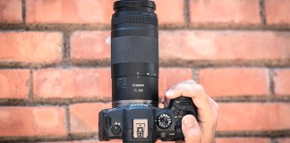Canon 75-300 mm f4-5.6 RF_12