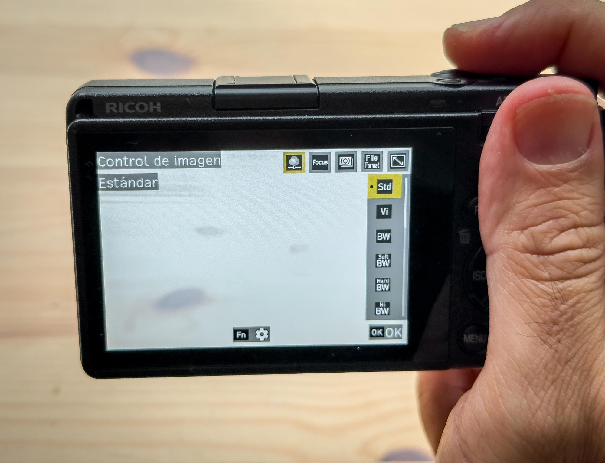 Ricoh_GRIV_Photolari_16