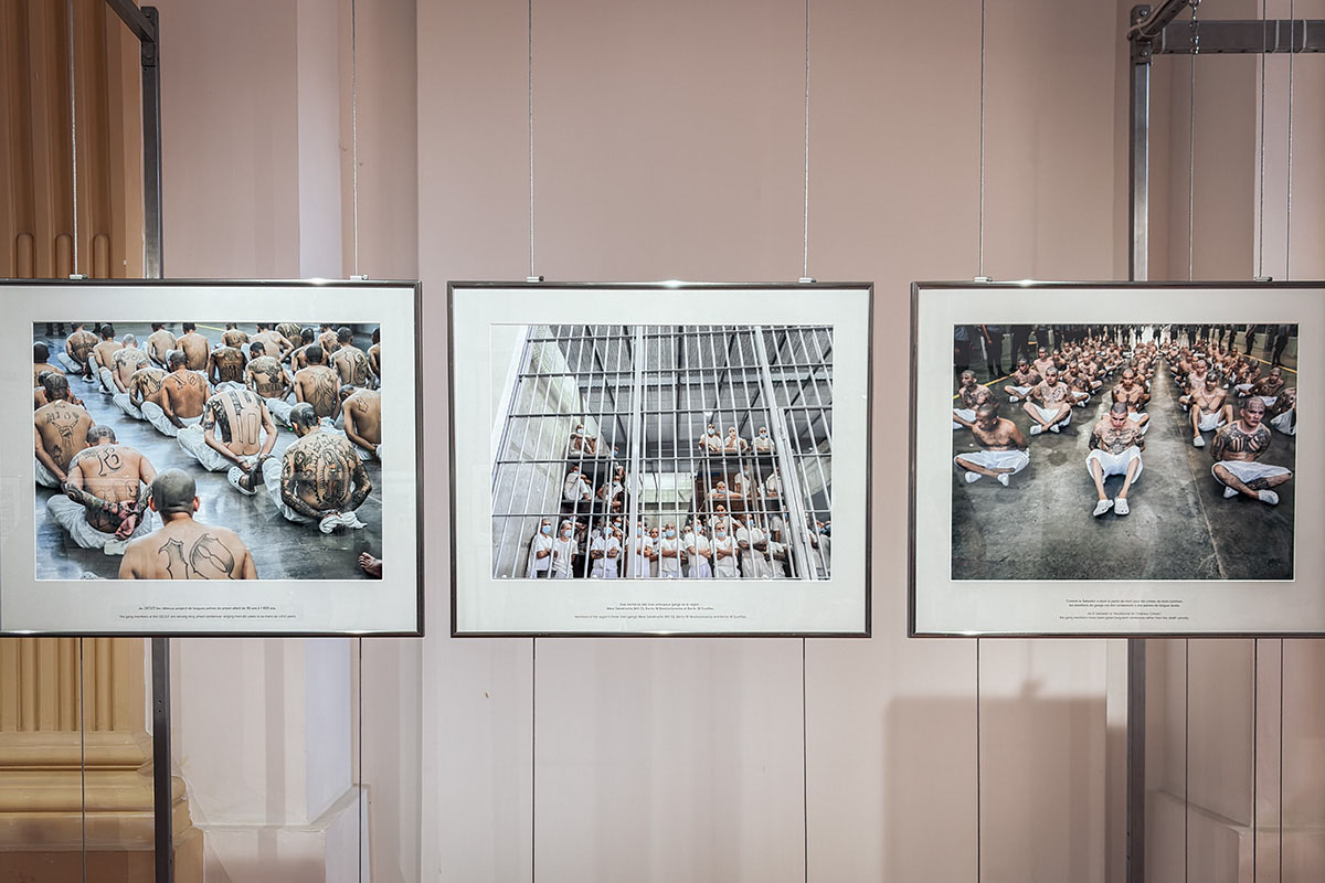 Exposición – Así es la vida en CECOT – Juan Carlos