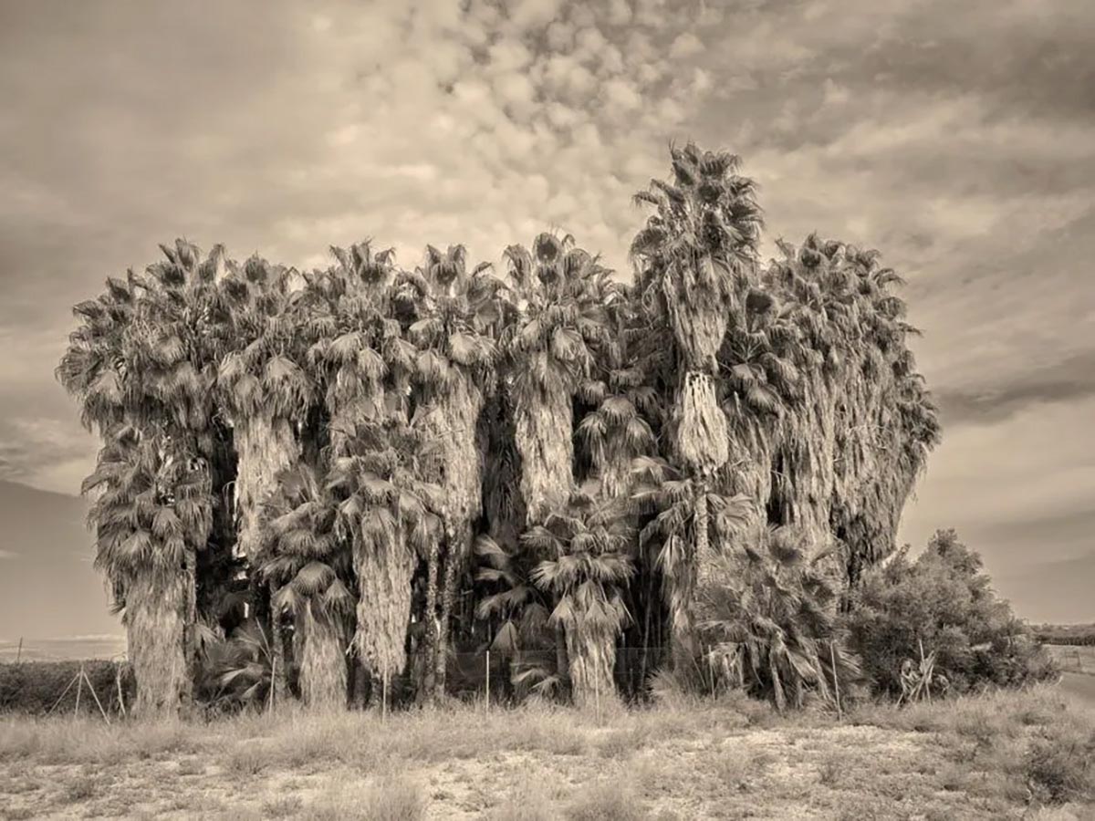 © IPPAWARDS – Iñigo Calles – Spain