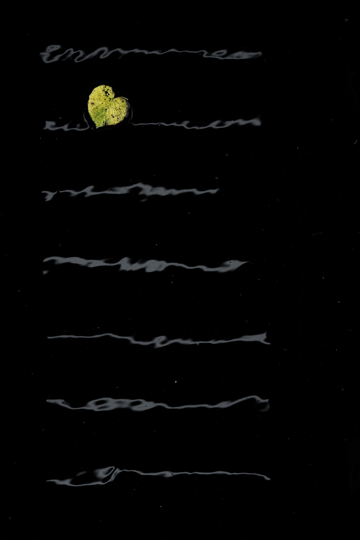 Love poem