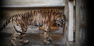 © Amy Jones – Portada