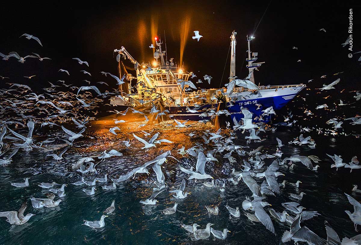 © Audun Rikardsen