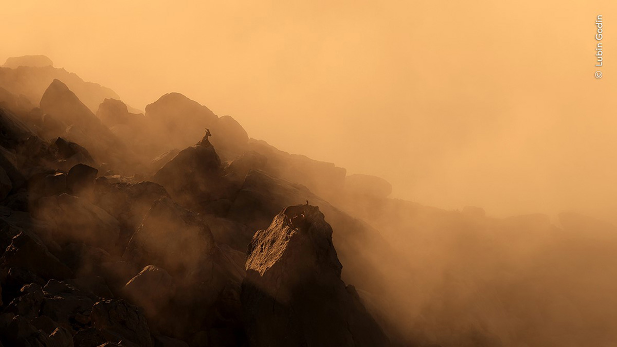 Cornes de brume