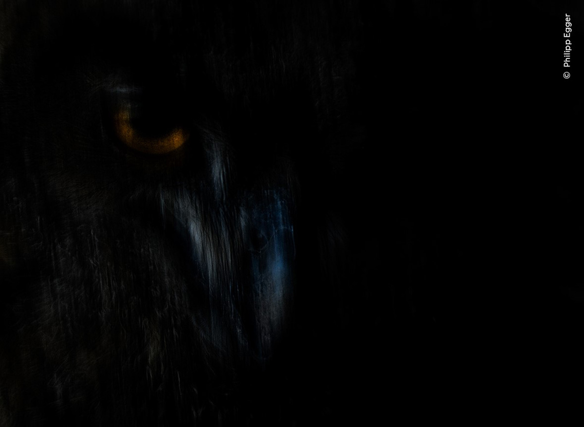 © Philipp Egger
