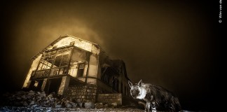 Ghost In The Darkness