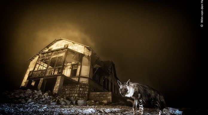 Ghost In The Darkness