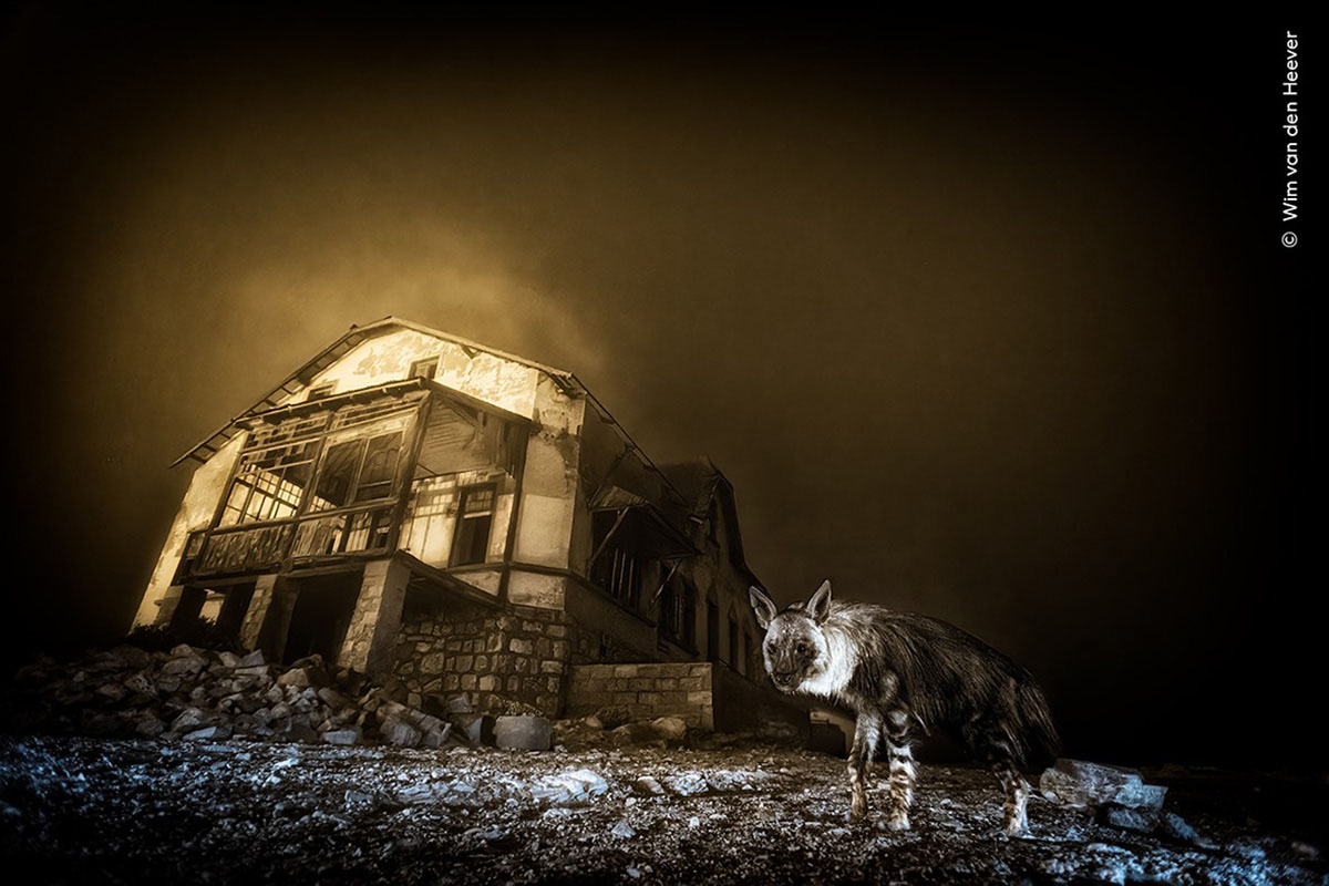 Ghost In The Darkness