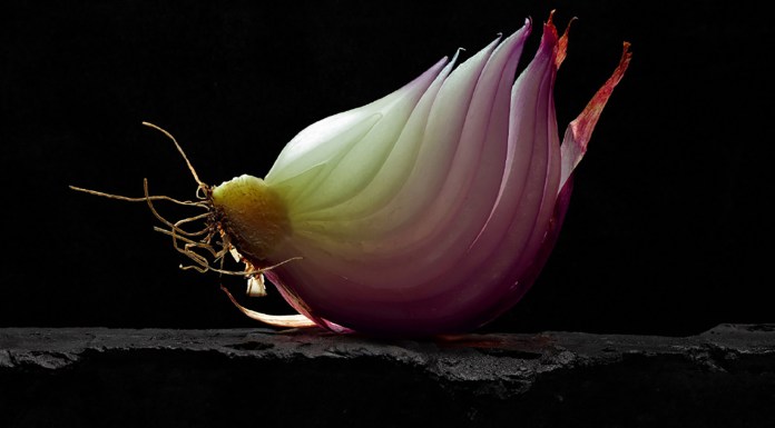 AFP41_01_fromatos lux_2025