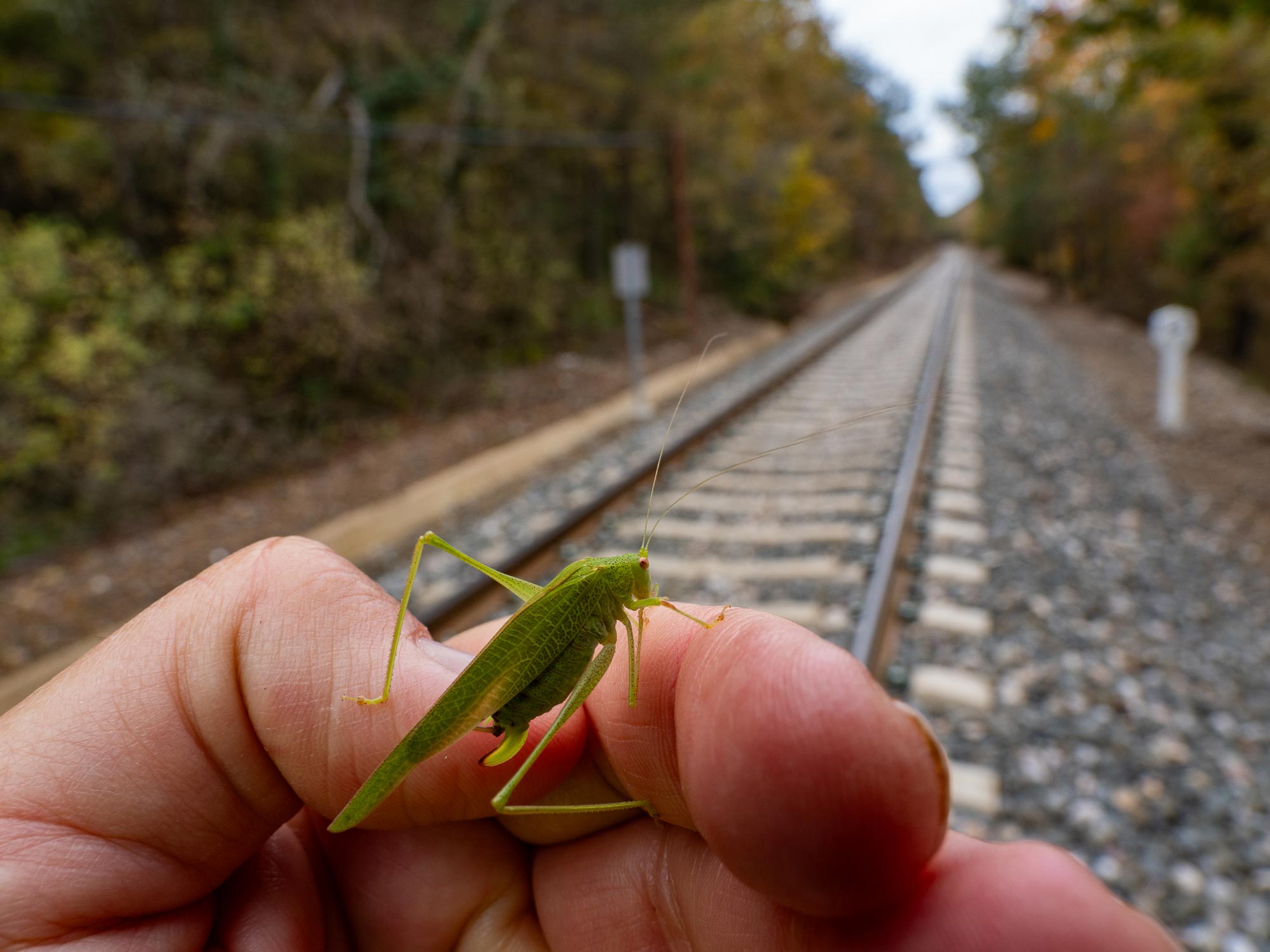 Manel_Soria_FF-MFT_04