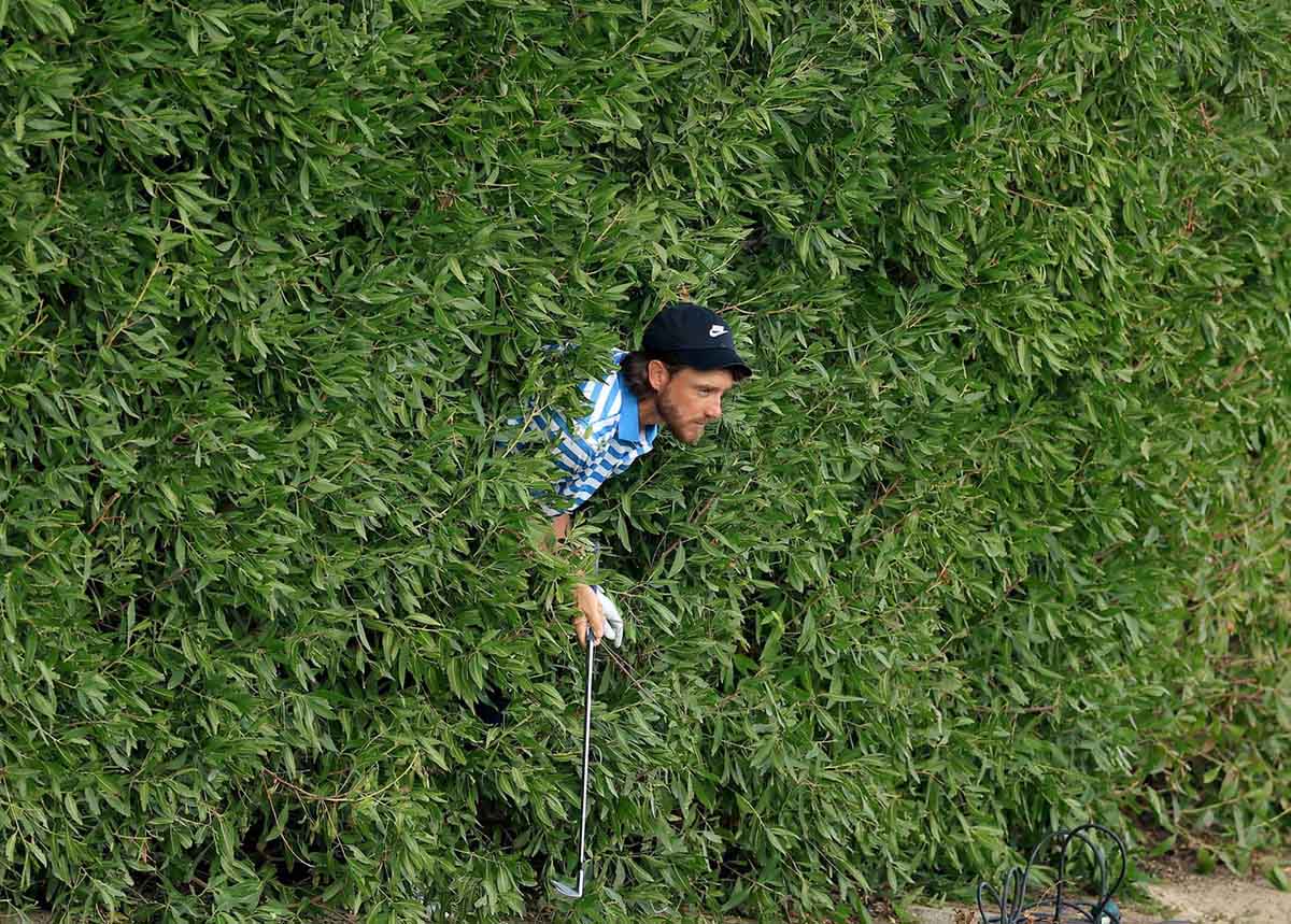 © David Cannon – Golf