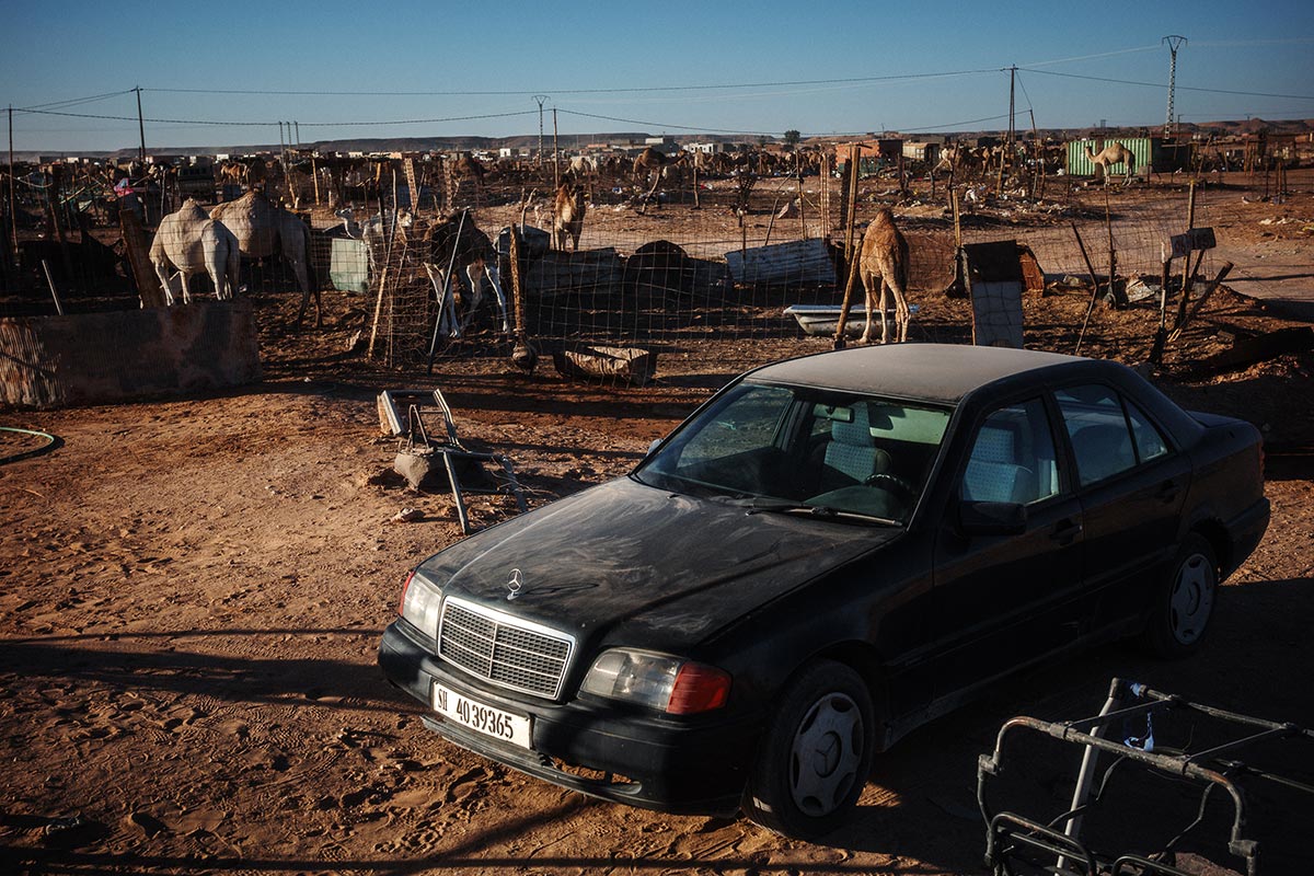 Ricoh_sahara_Gustavo-Bravo_04
