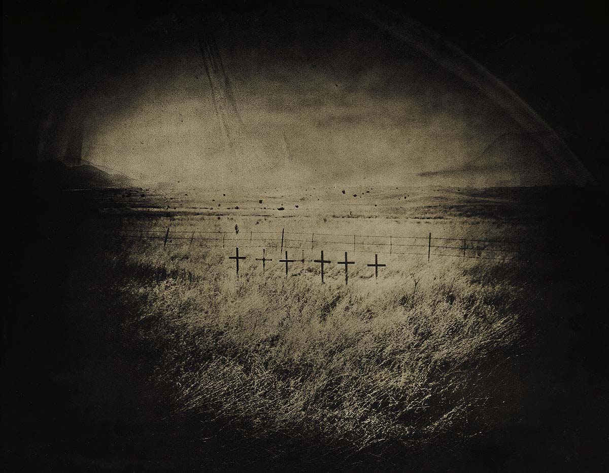 © Marcus DeSieno_02
