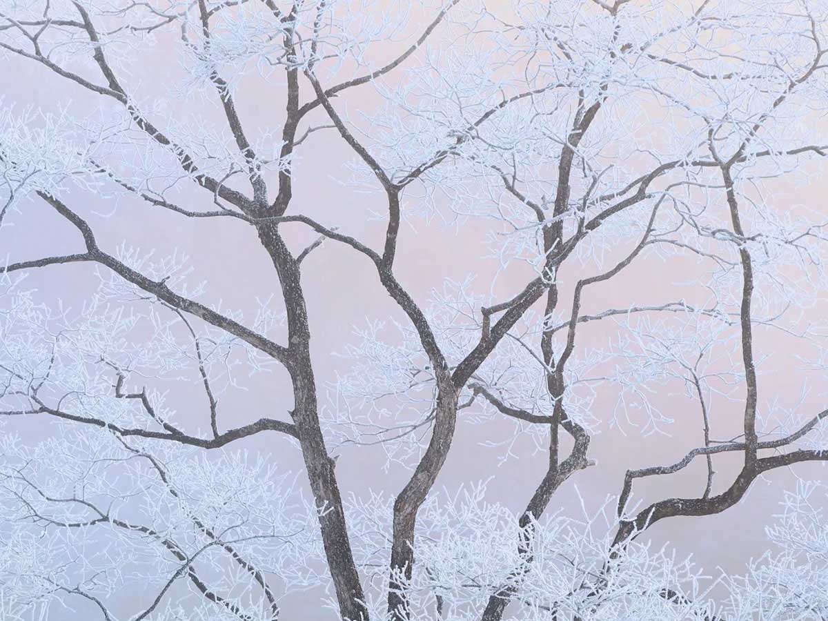 © Sho Hoshino
