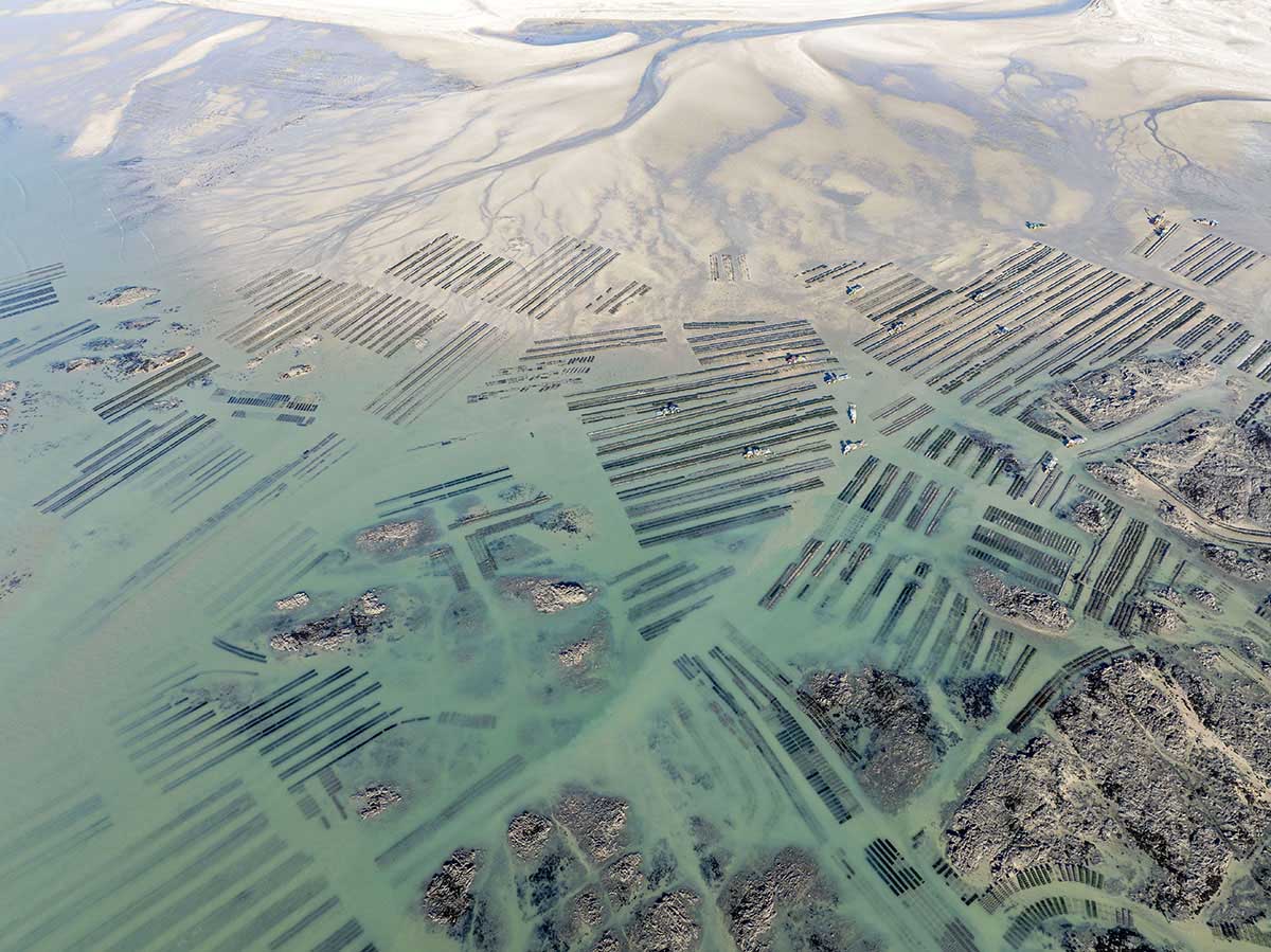 © Andreas Secci (Alemania)