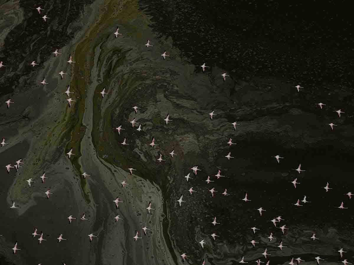 John Balsdon_expedición Cabo a Cabo_02