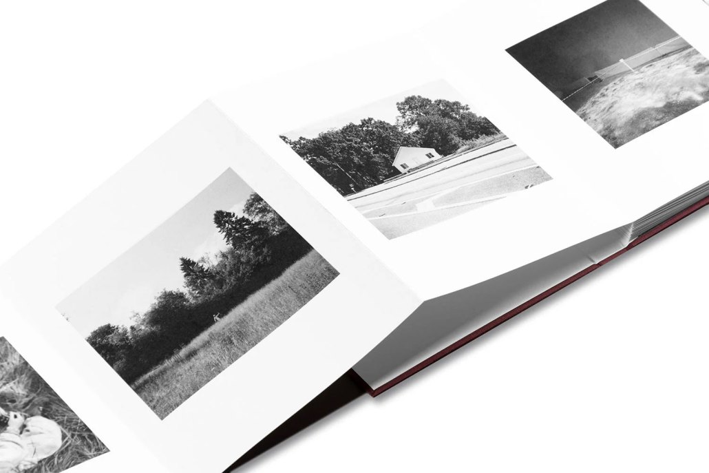 Yorgos-Lanthimos-fotos-1