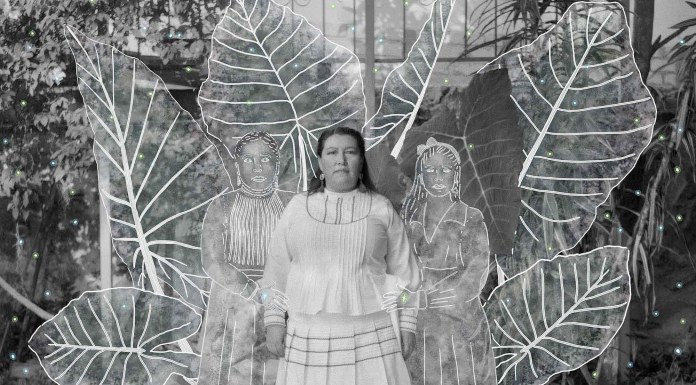 Portada Sony © Citlali Fabián