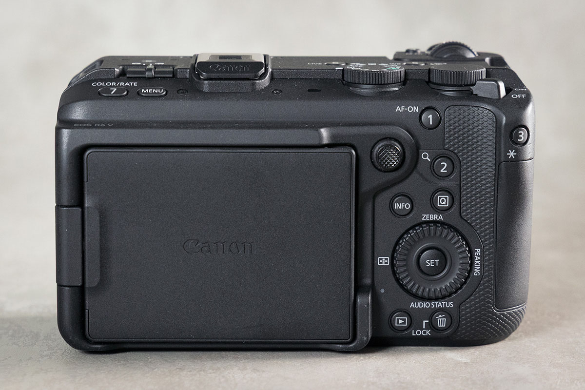 Canon EOS R6 V_07