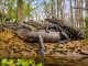Foto_Steven_Grogin_02