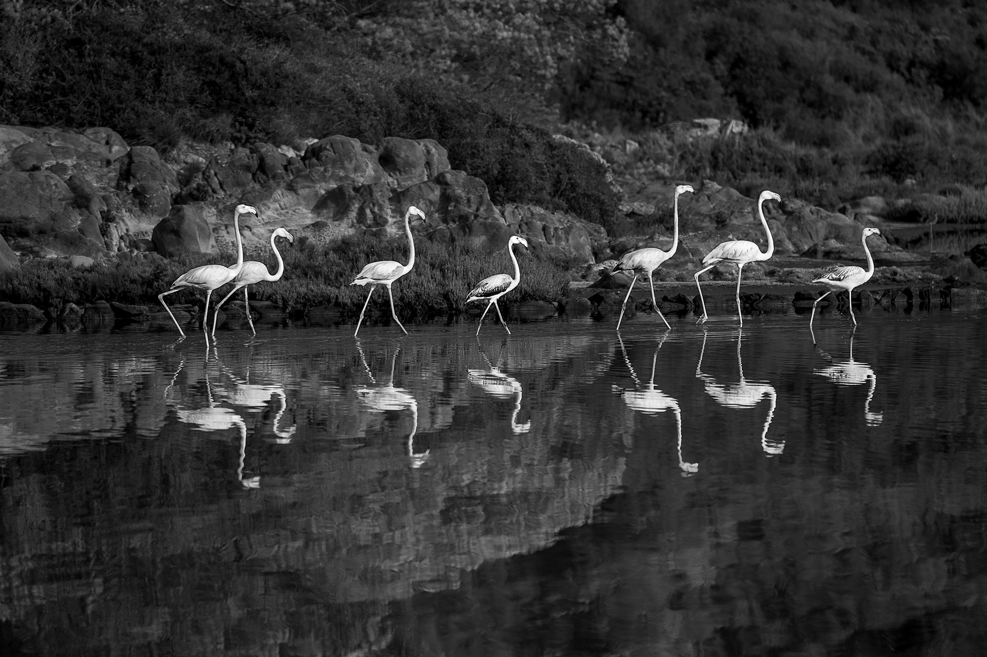 McCurry_Menorca_05