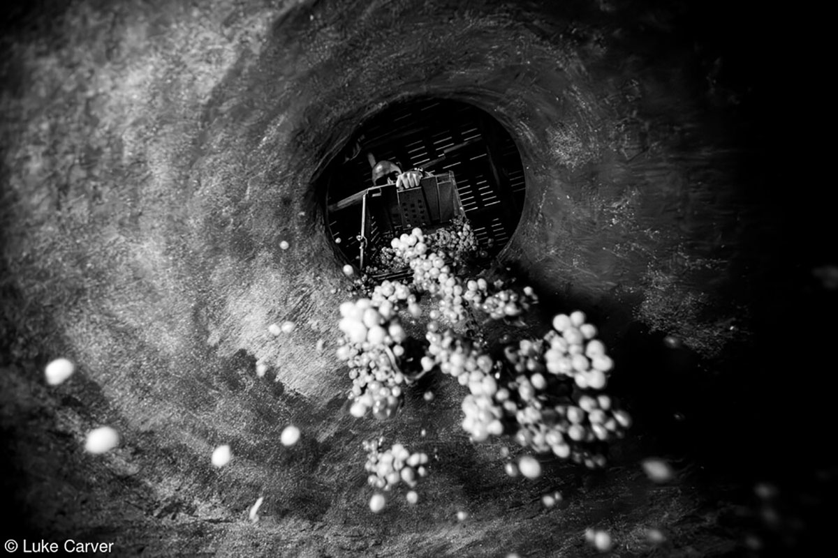 © Luke Carver