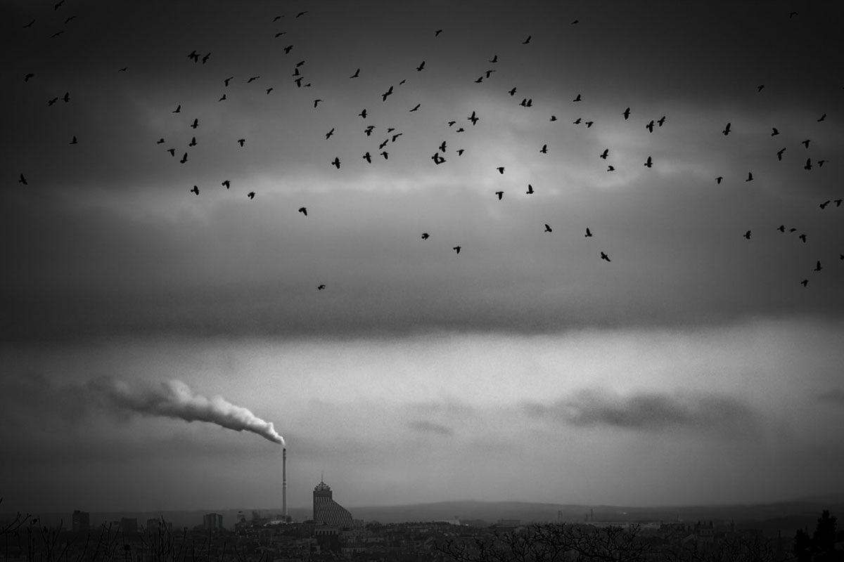 © Adrian Beasley