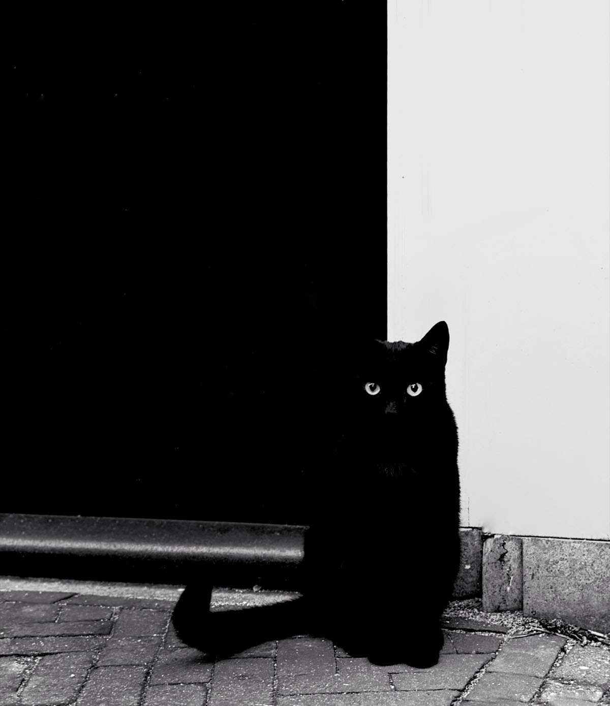 © Arnold Plotnick