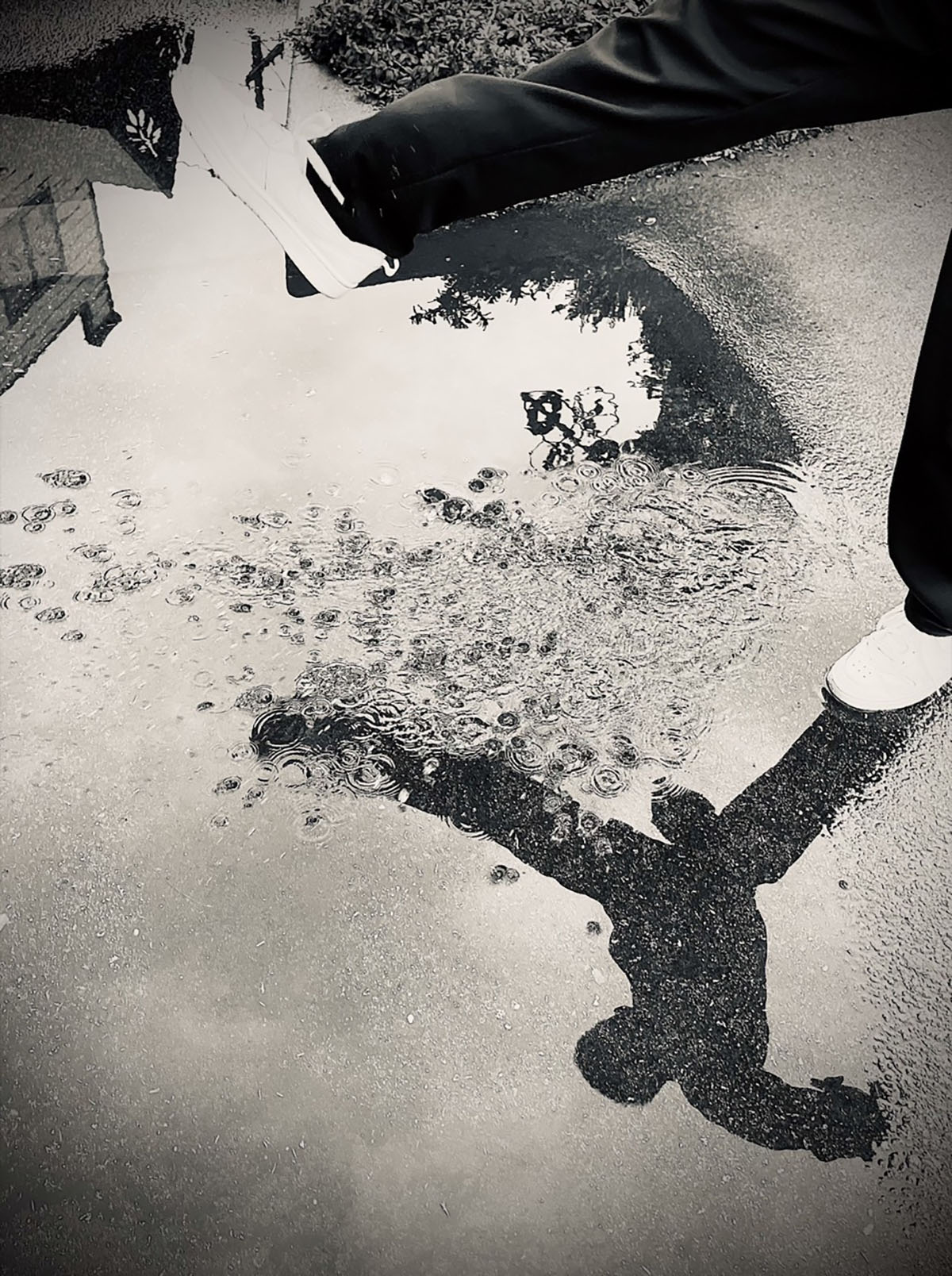 © Jenny Dang
