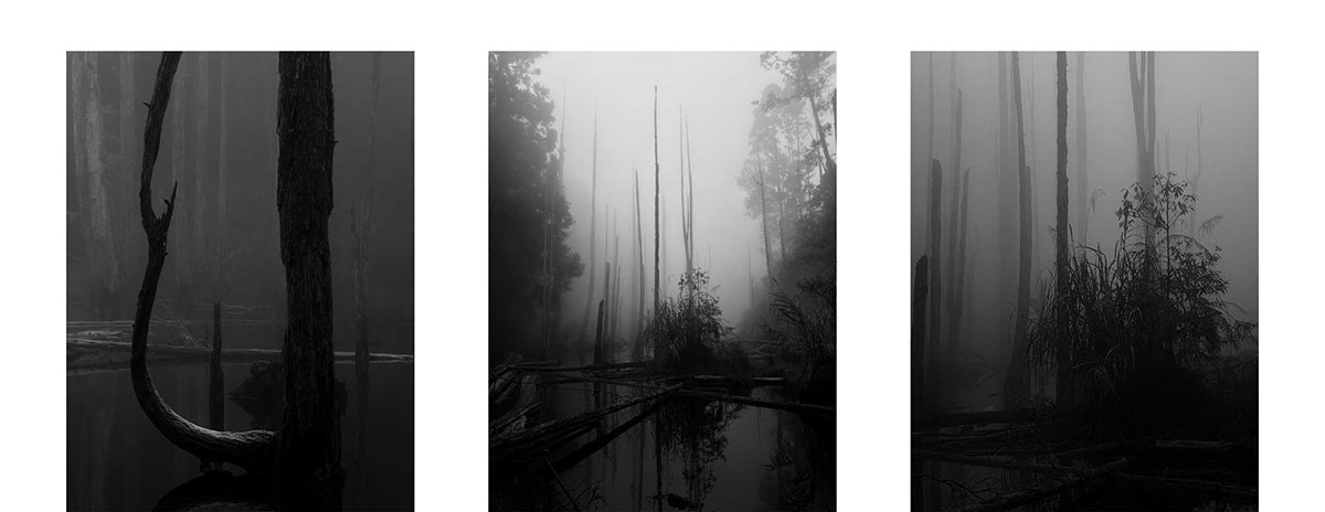 © IPPAWARDS – Andrea Seligman – Brazil
