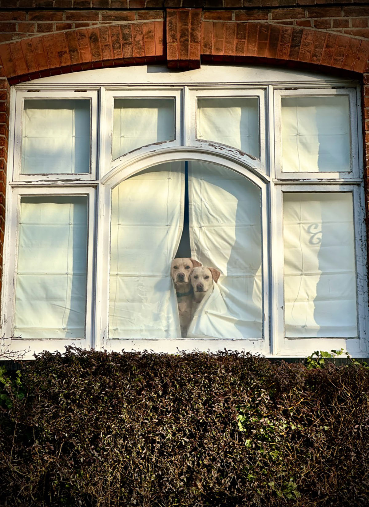 © Peter Crome