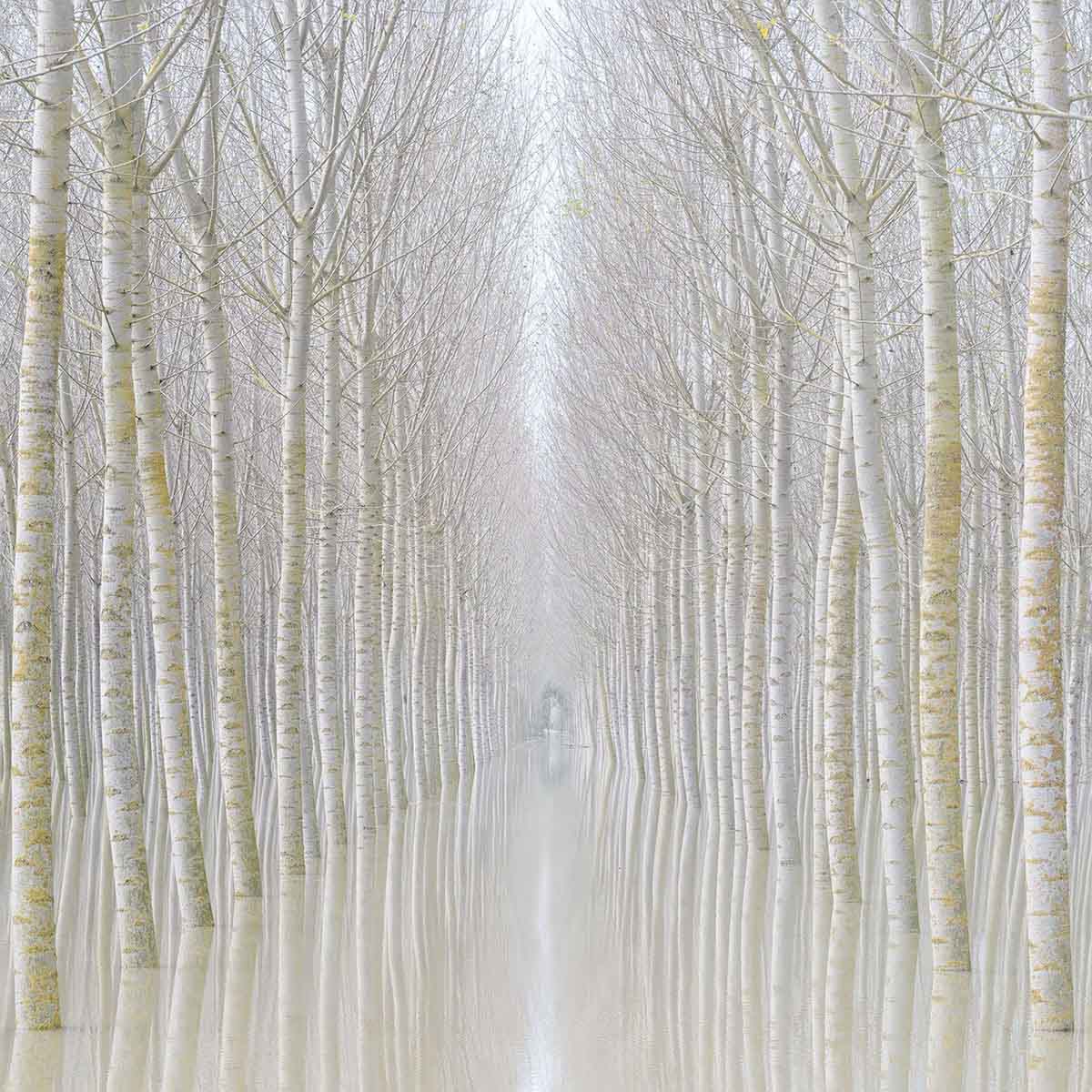 © Rohan Reilly