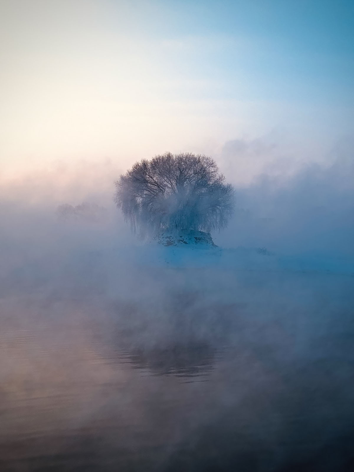 © Tianjiao Zhang