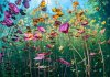 El fondo del mar como nunca lo habías visto: estas son las fotos ganadores del concurso El Día Mundial de los Océanos de Naciones Unidas © Ysabela Coll – Portada
