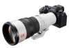 Sony_600mm_f6.3portada
